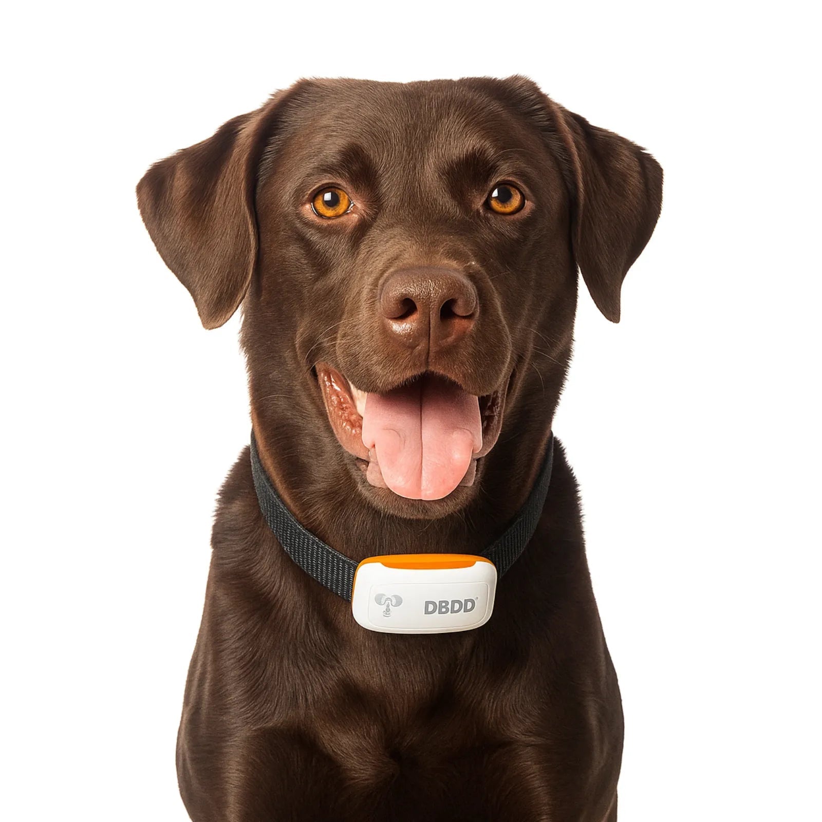 Petmaxbox DBDD Premium GPS Dog Tracker - Petmaxbox
