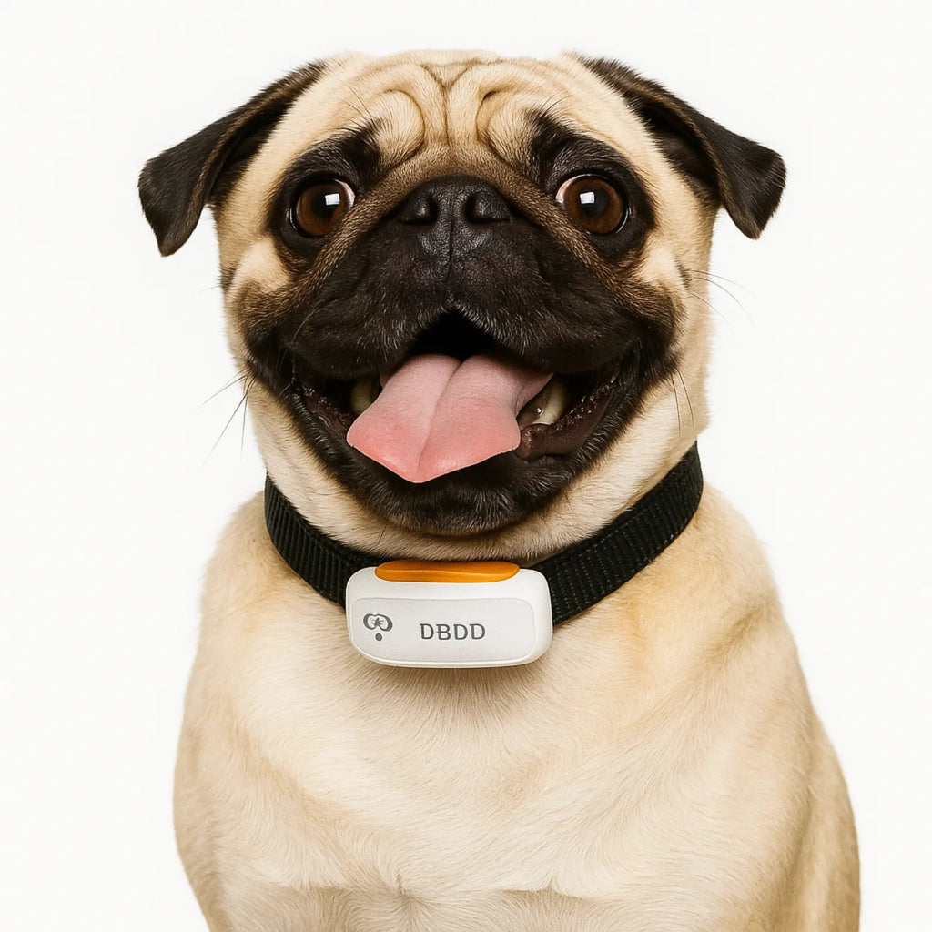 Petmaxbox DBDD Premium GPS Dog Tracker - Petmaxbox
