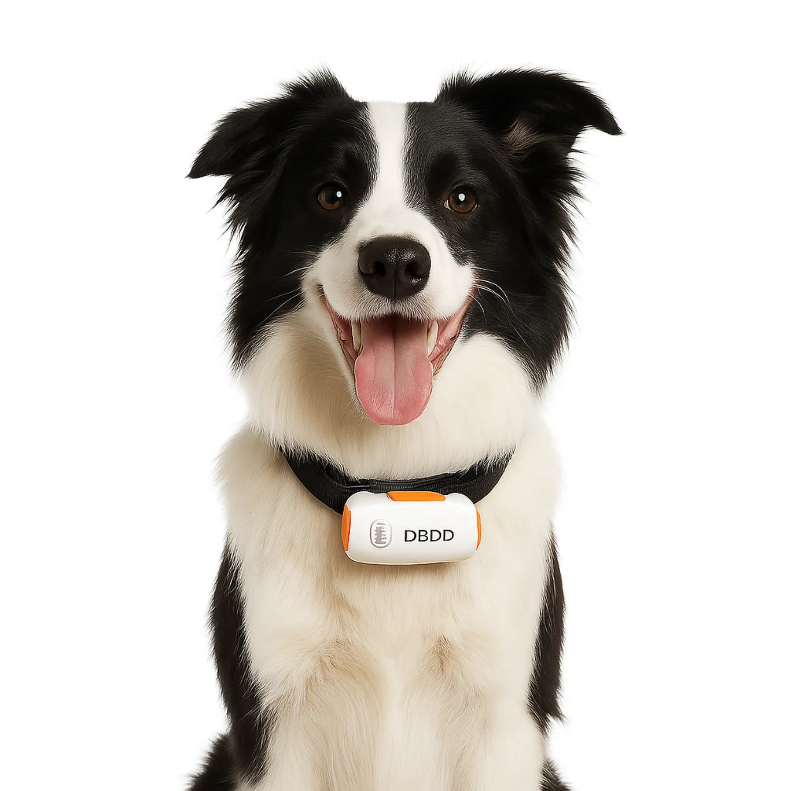 Petmaxbox DBDD Premium GPS Dog Tracker - Petmaxbox
